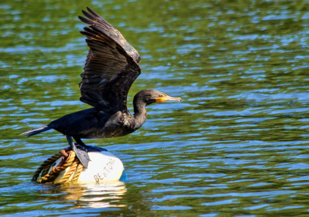 Cleared For Takeoff