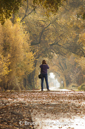 Wife taking pictures in fall