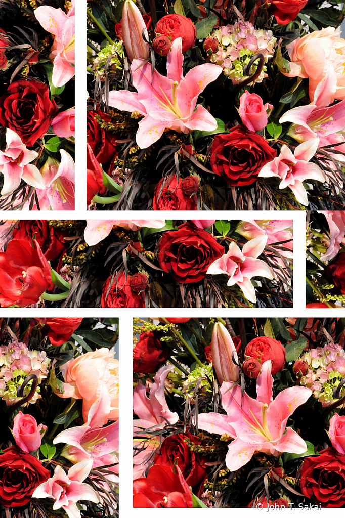 Bursting Bouquets - ID: 15926276 © John T. Sakai
