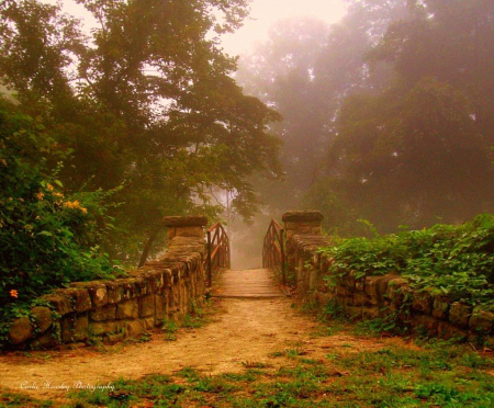 Peaceful walk