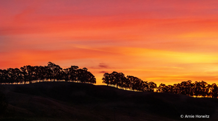 Ridgeline at Dawn