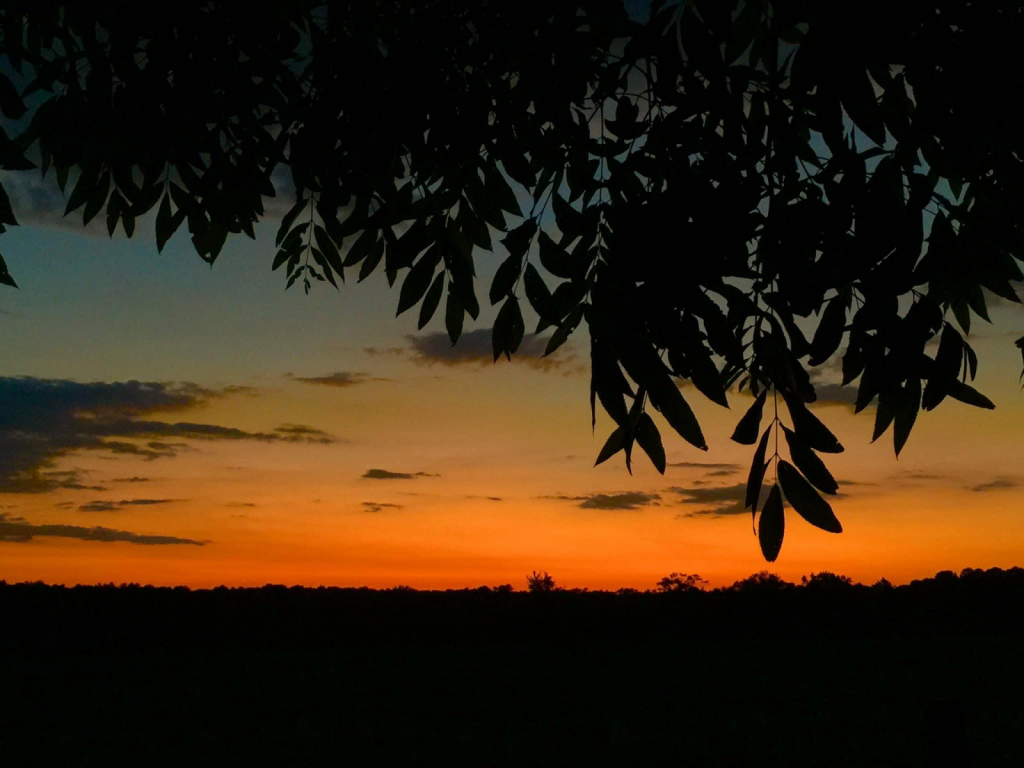 Sunset view  - ID: 15926790 © Elizabeth A. Marker