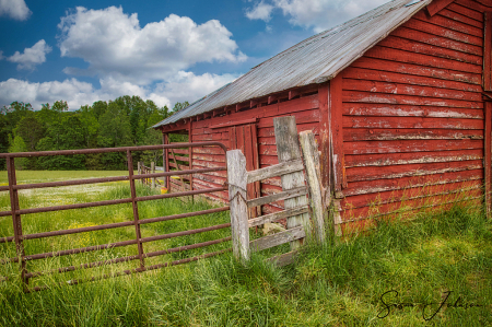 Springtime on the Farm