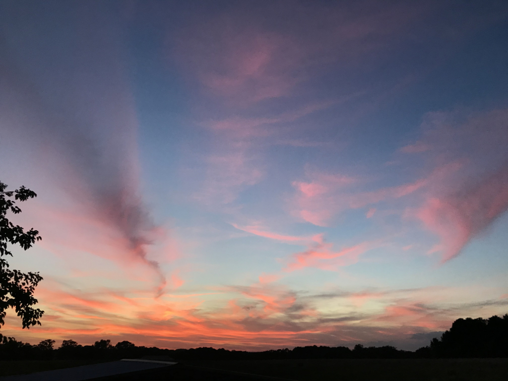 Pink Sunset - ID: 15926966 © Elizabeth A. Marker