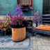 © Karen E. Michaels PhotoID # 15926862: shades off