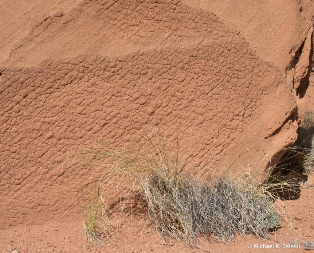 Desert Textures near Ghost Ranch - ID: 15926901 © Michael K. Salemi