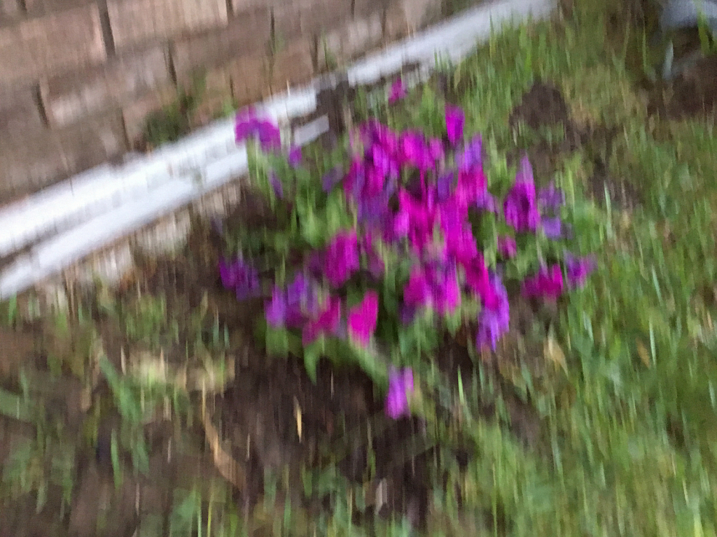 Purple Flowers is G.G.Leger