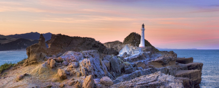 Castlepoint Reef