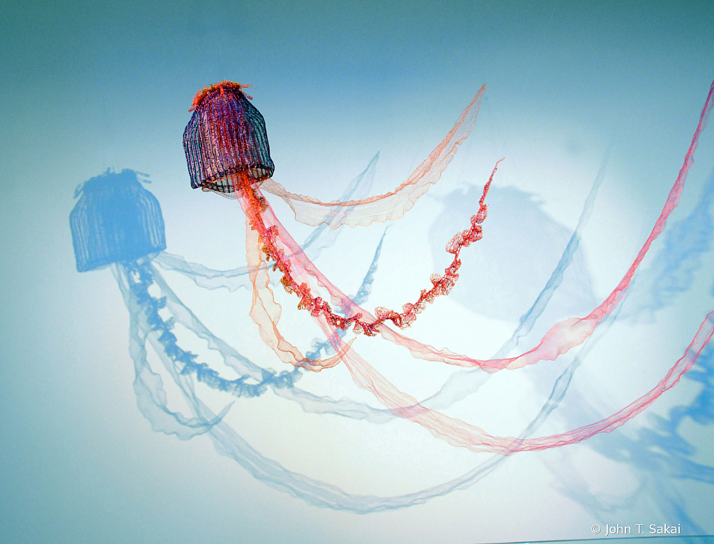 Airborne Jellyfish - ID: 15927397 © John T. Sakai