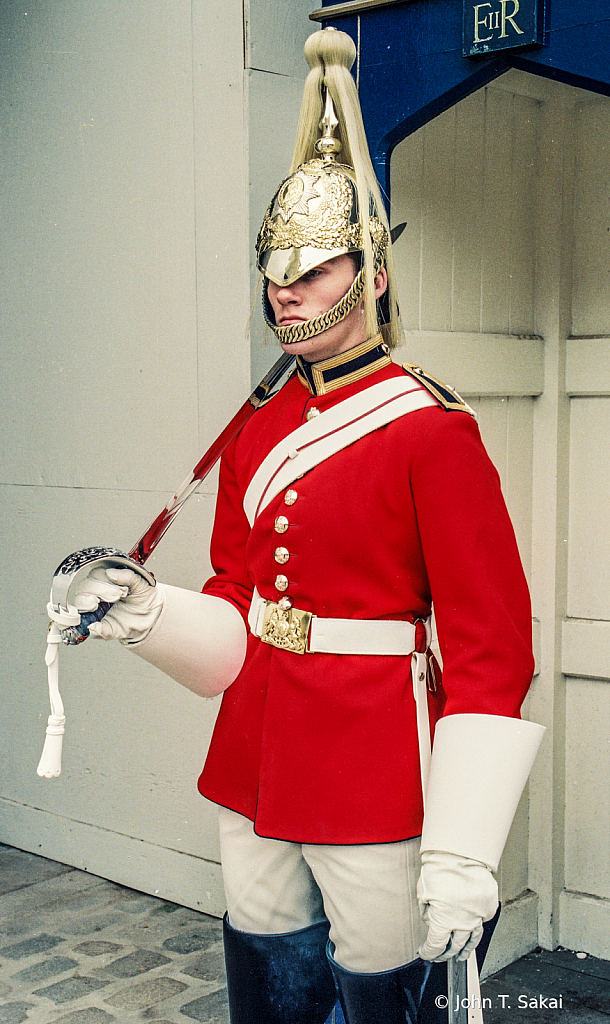 Royal Guard - ID: 15927847 © John T. Sakai