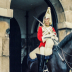 © John T. Sakai PhotoID# 15927674: Royal Guard on Horseback