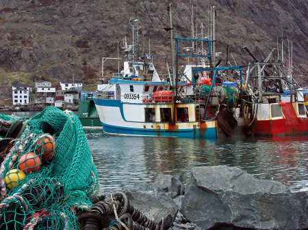 Fishing Fleet in Port