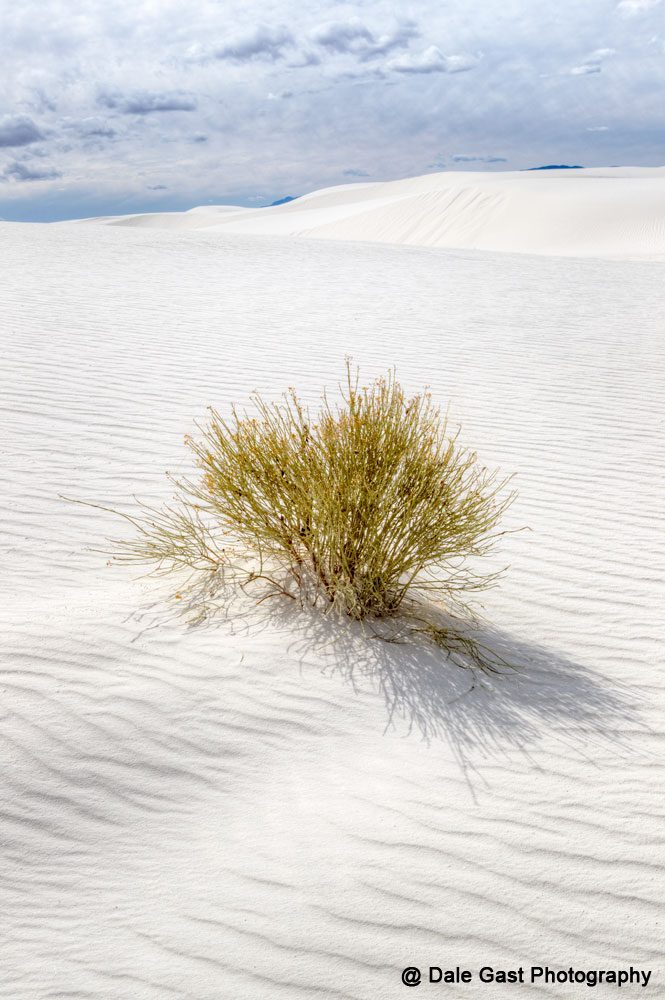 White Sands National Park