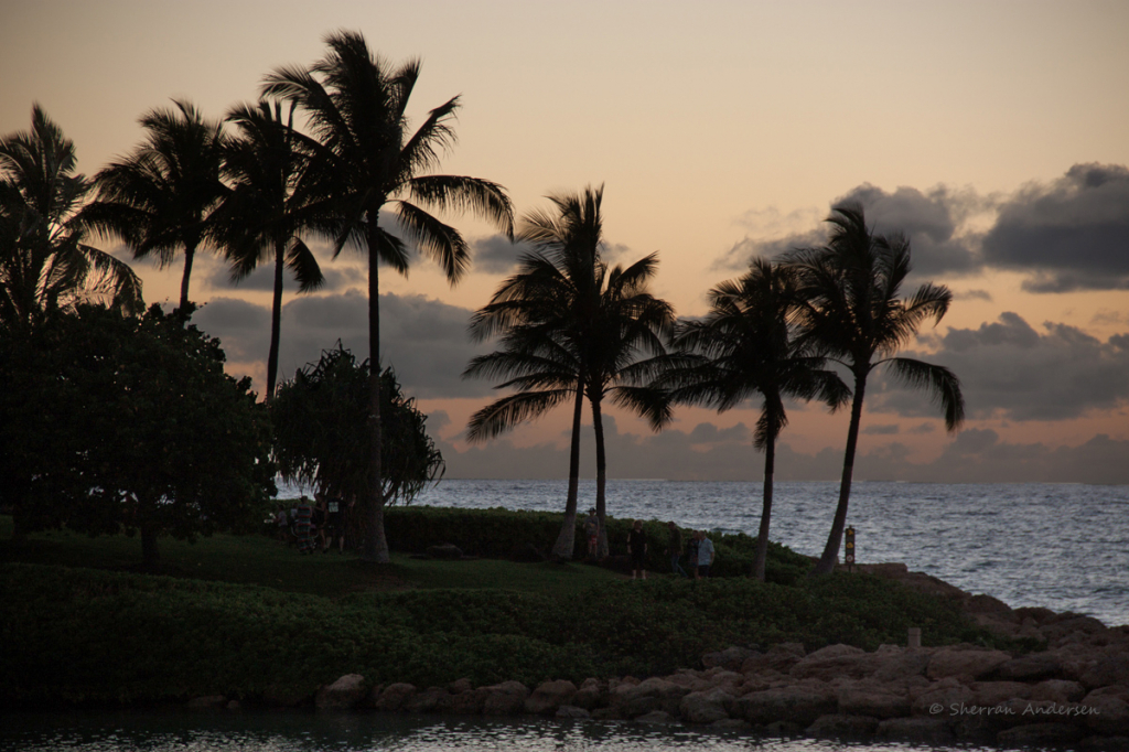 A Bit Of Stormy Paradise