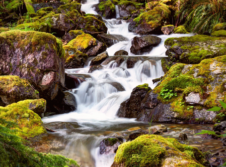 Flow Down by the Trail