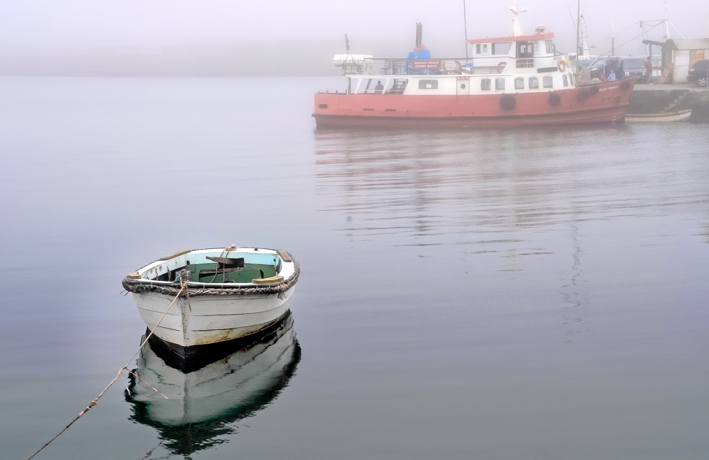 Foggy Harbor