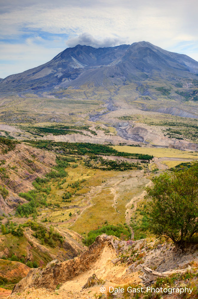 Beauty from Destruction ~ Mount Saint Helens