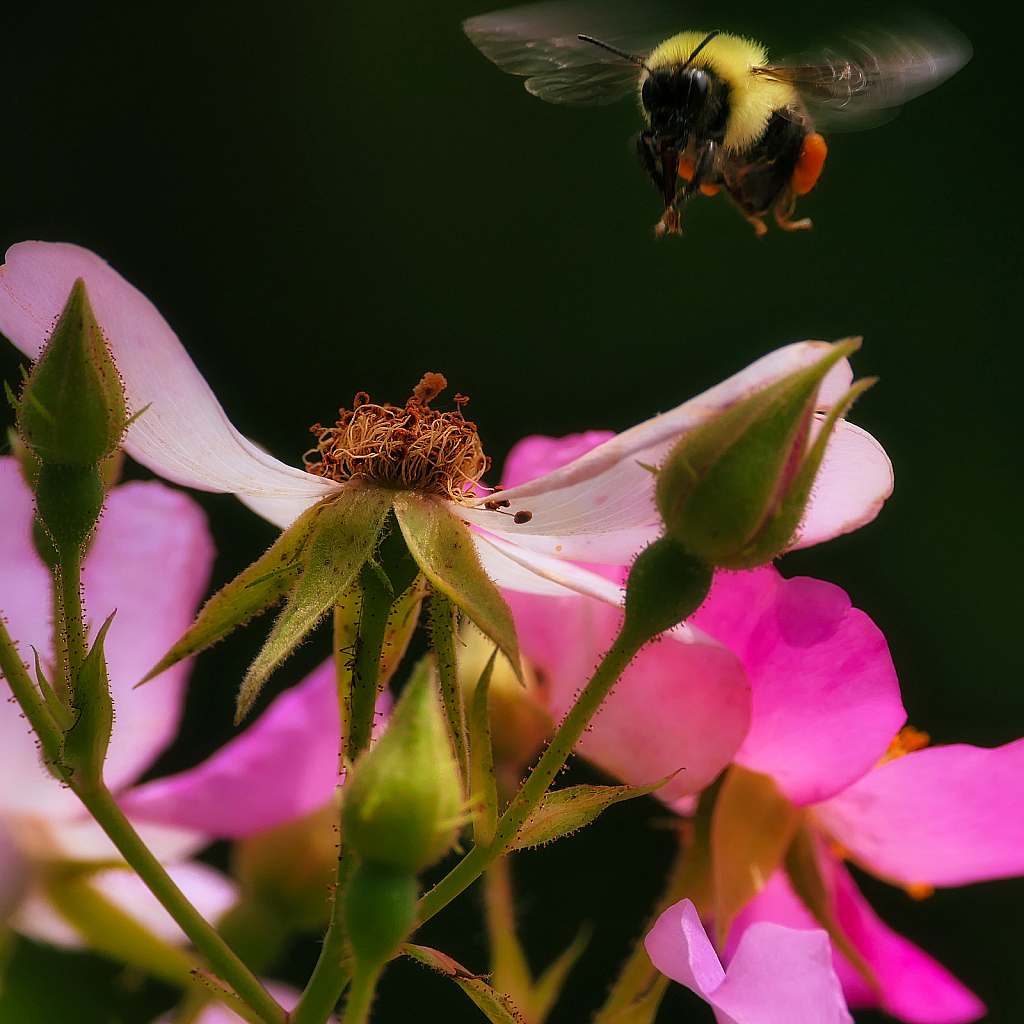 Landing