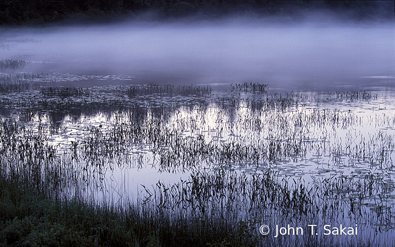 Morning Mist, St. John River - ID: 15929078 © John T. Sakai