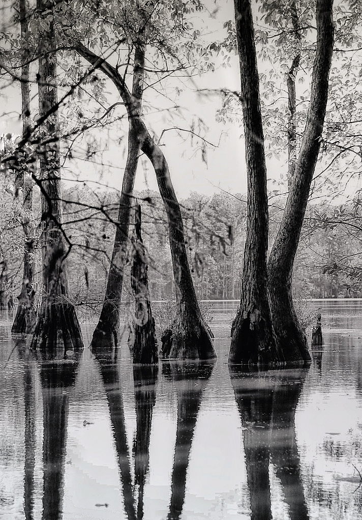 Backwaters