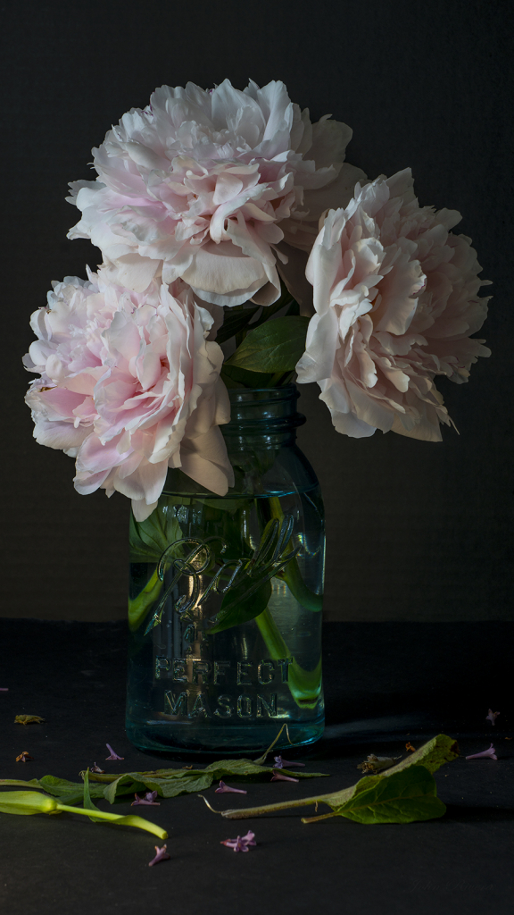 Peonies in Mason Jar