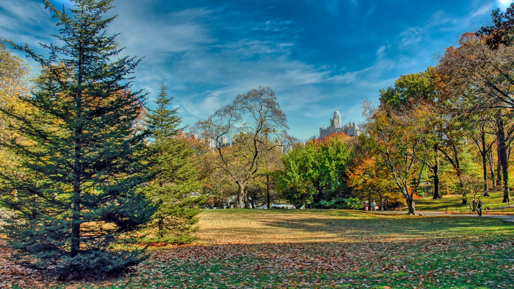 In Central Park - ID: 15929360 © Paul Coco