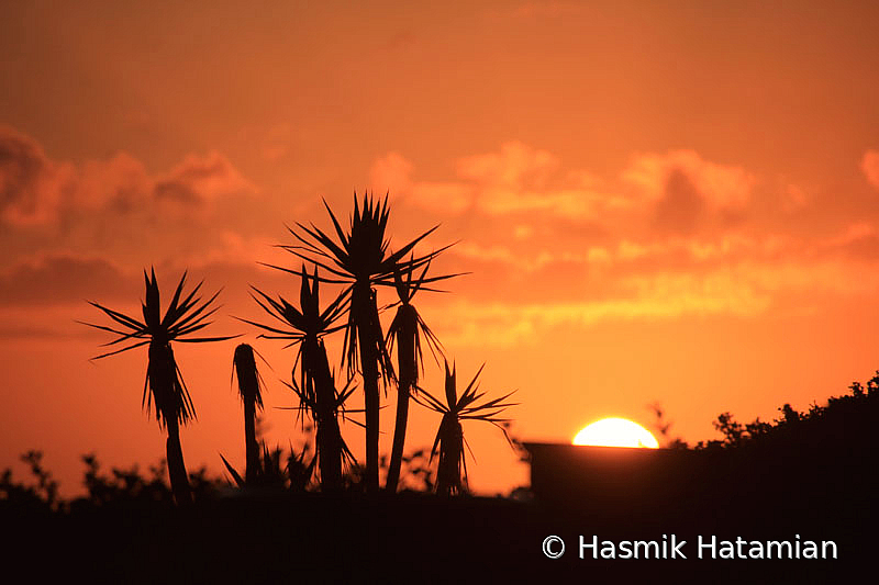 Sunset - ID: 15929568 © Hasmik Hatamian