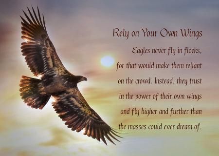 Soar with the Eagles