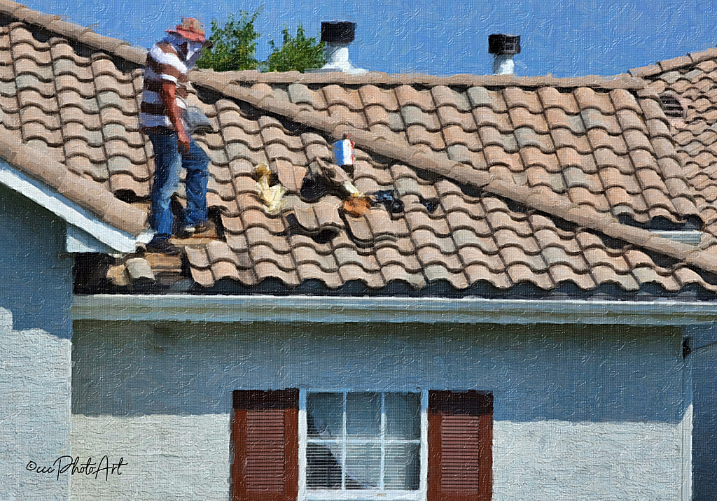 Up on the Roof - ID: 15930175 © Candice C. Calhoun