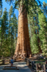 General Sherman 