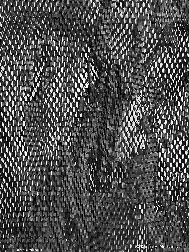 Black and White and Between - ID: 15931665 © Karen E. Michaels