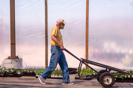 Busy at the garden center