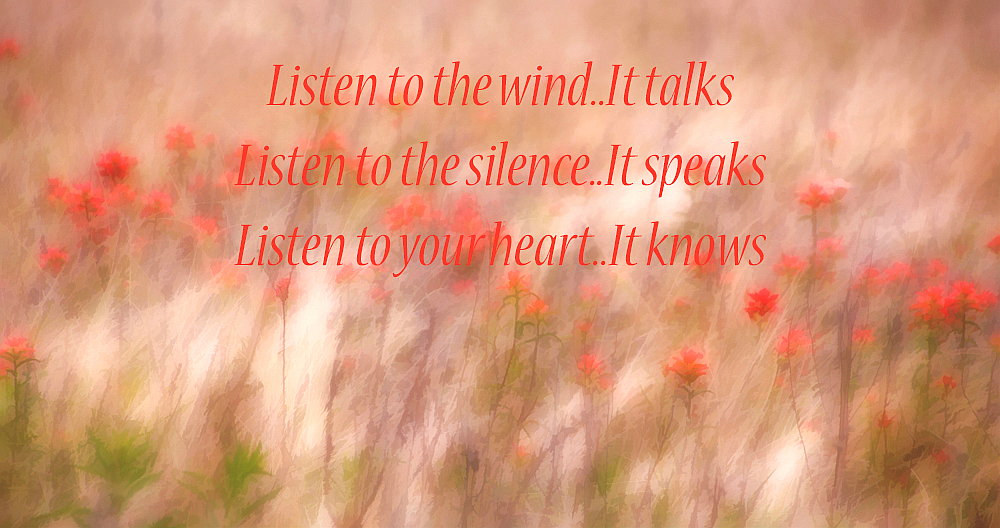 Listen To The Wind
