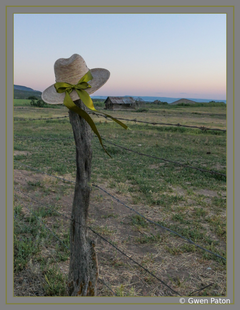 Hat on Post