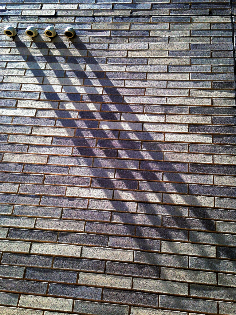 Shadow Lines