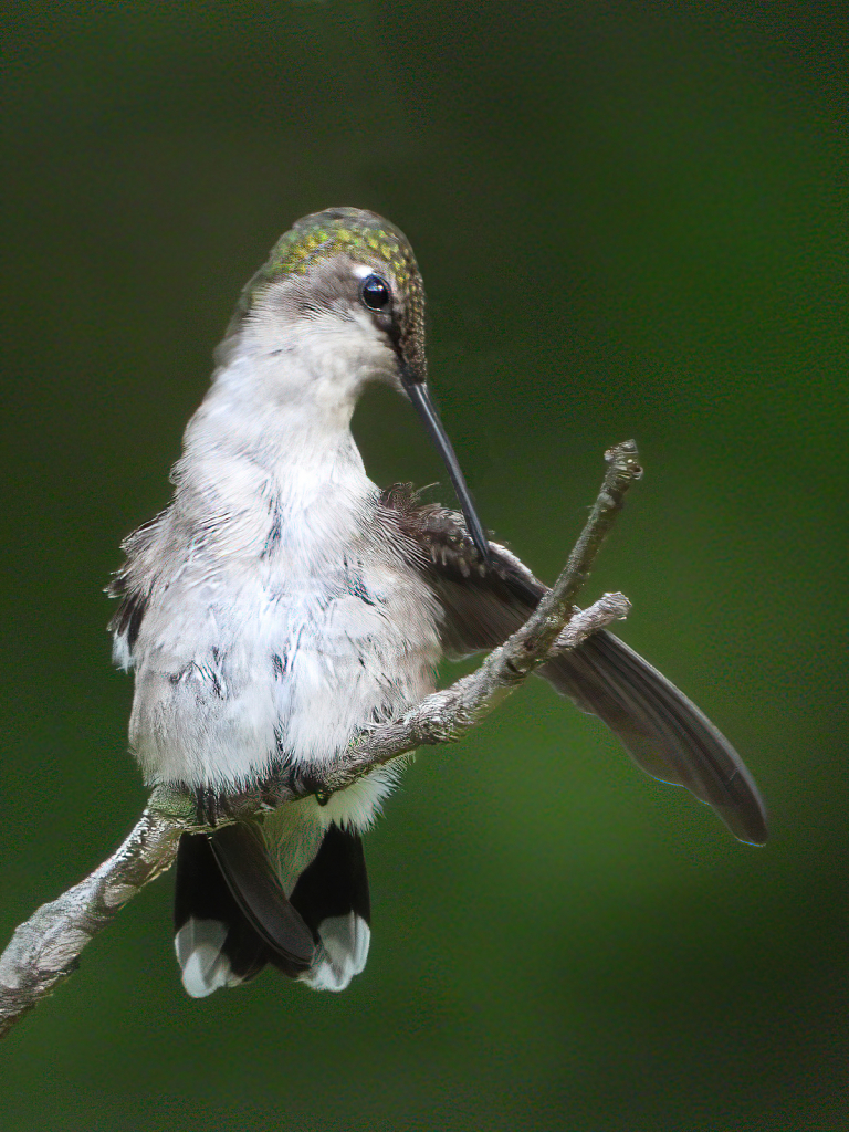 Cleaning Up - ID: 15932759 © Janet Criswell