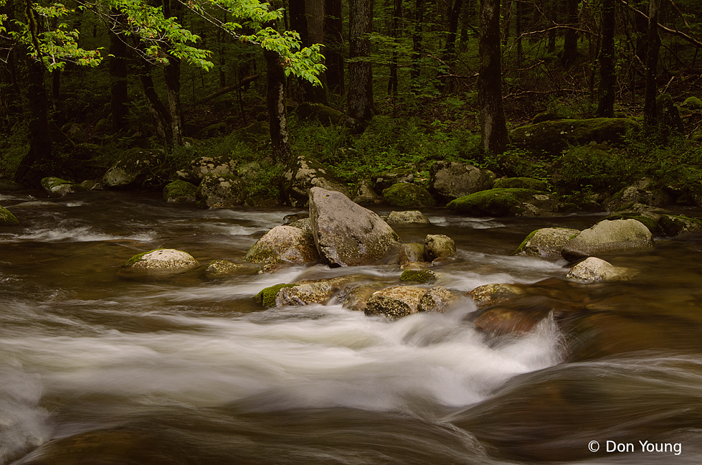 Smoky Mountain Stream