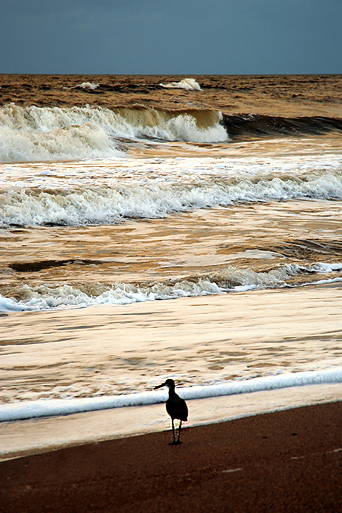 A Walk On The Beach - ID: 15933876 © Don Young