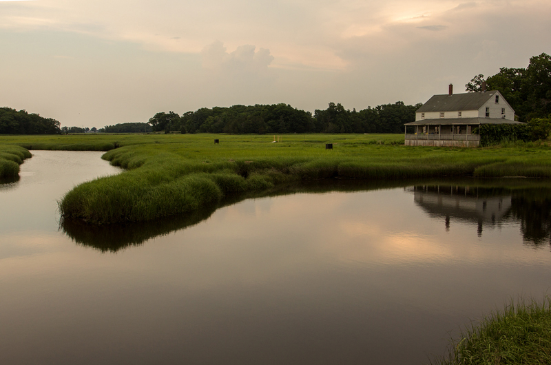 House on the Great Marsh 