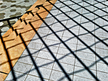 Shadow Lines