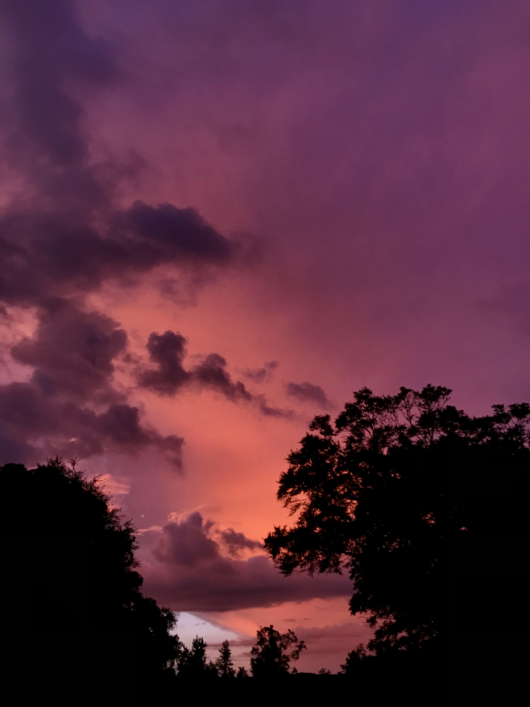Plum Sunset - ID: 15934389 © Elizabeth A. Marker