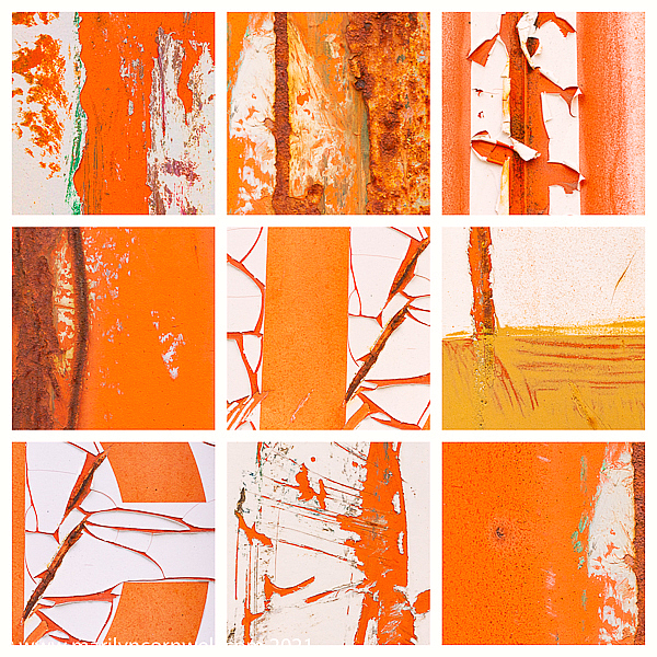 Diptych in ORNG 2 - ID: 15934555 © Marilyn Cornwell
