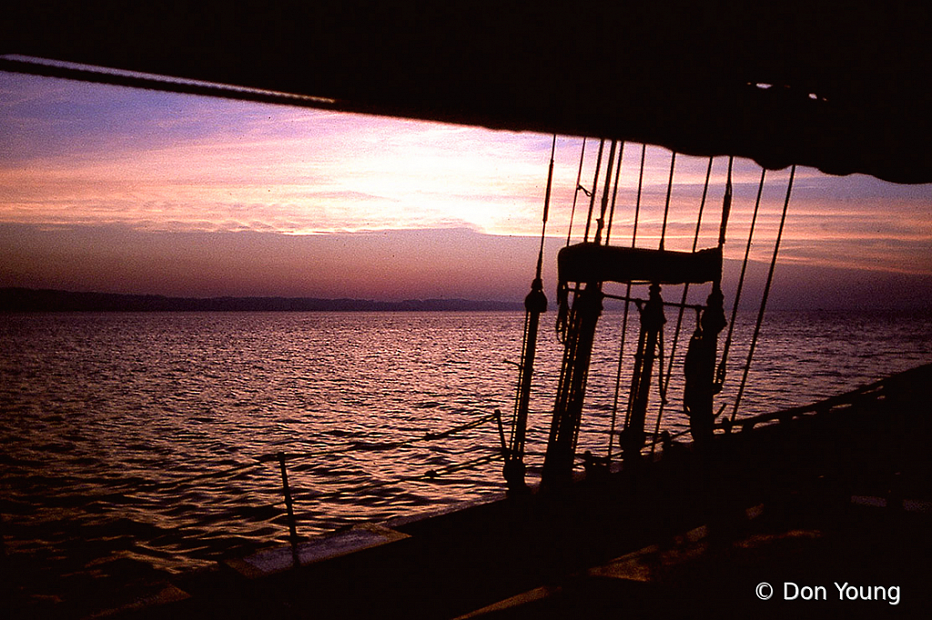 Sunrise on the Malabar - ID: 15935990 © Don Young
