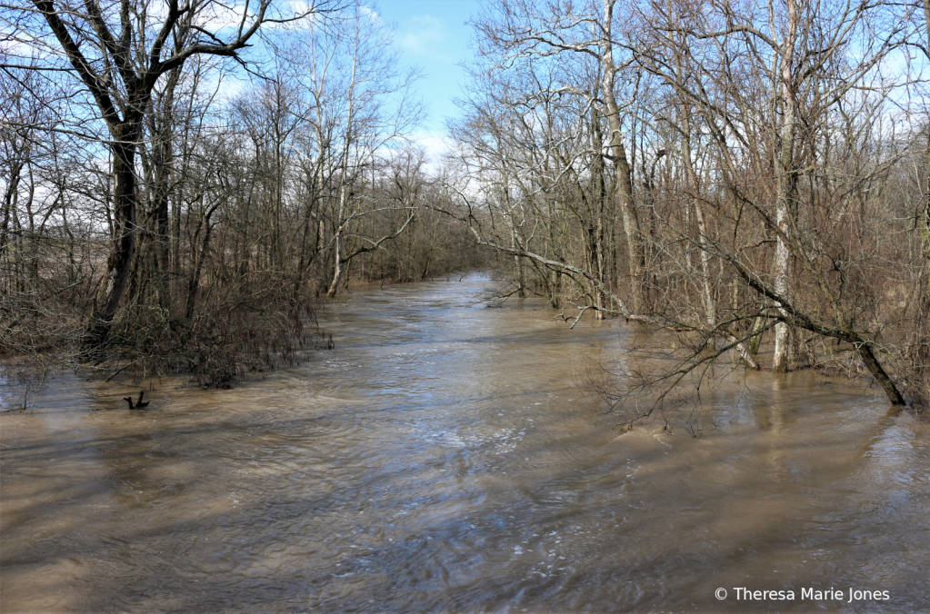 Flooded Creek - ID: 15936894 © Theresa Marie Jones