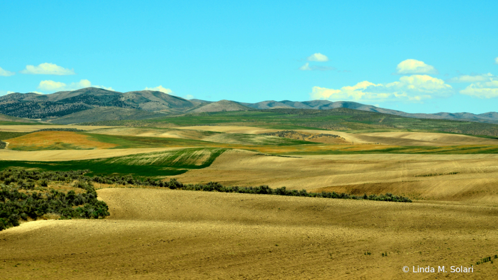 Farmland 