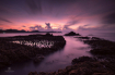 Evening Scape of ...