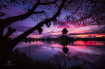 Magical Evening C...