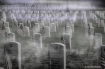 Chilly Morning - ...