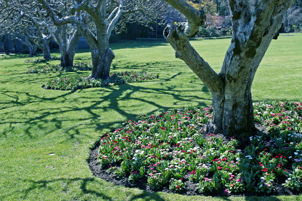 Park Shadows