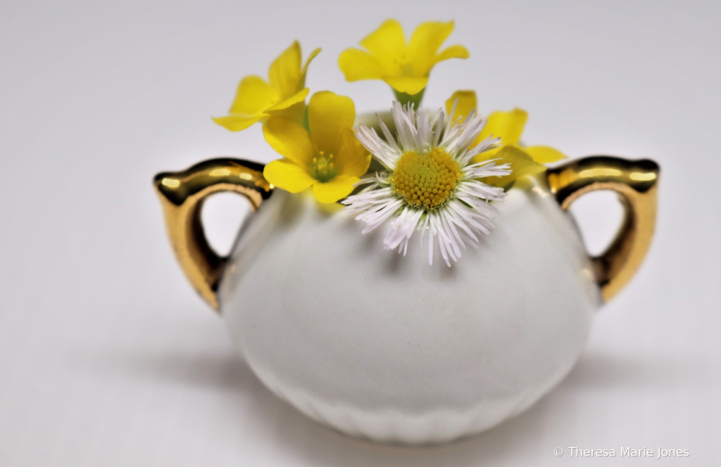 Tiny Flowers - ID: 15939766 © Theresa Marie Jones